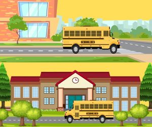 School Bus Fleet